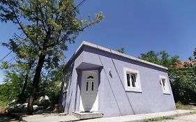 Purple Peace